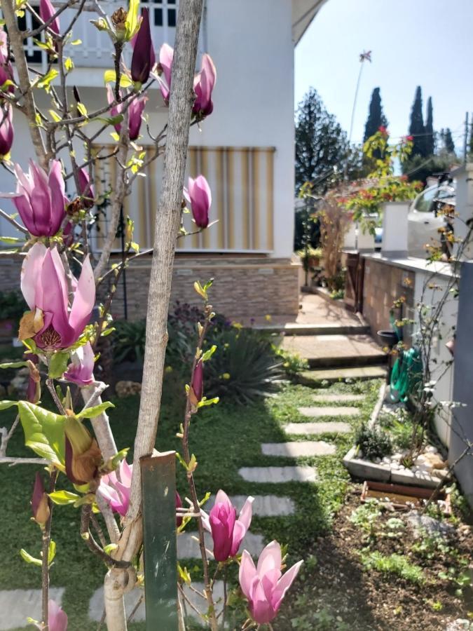 La Perla Della Conca D'Oro Villa Palermo Exteriör bild